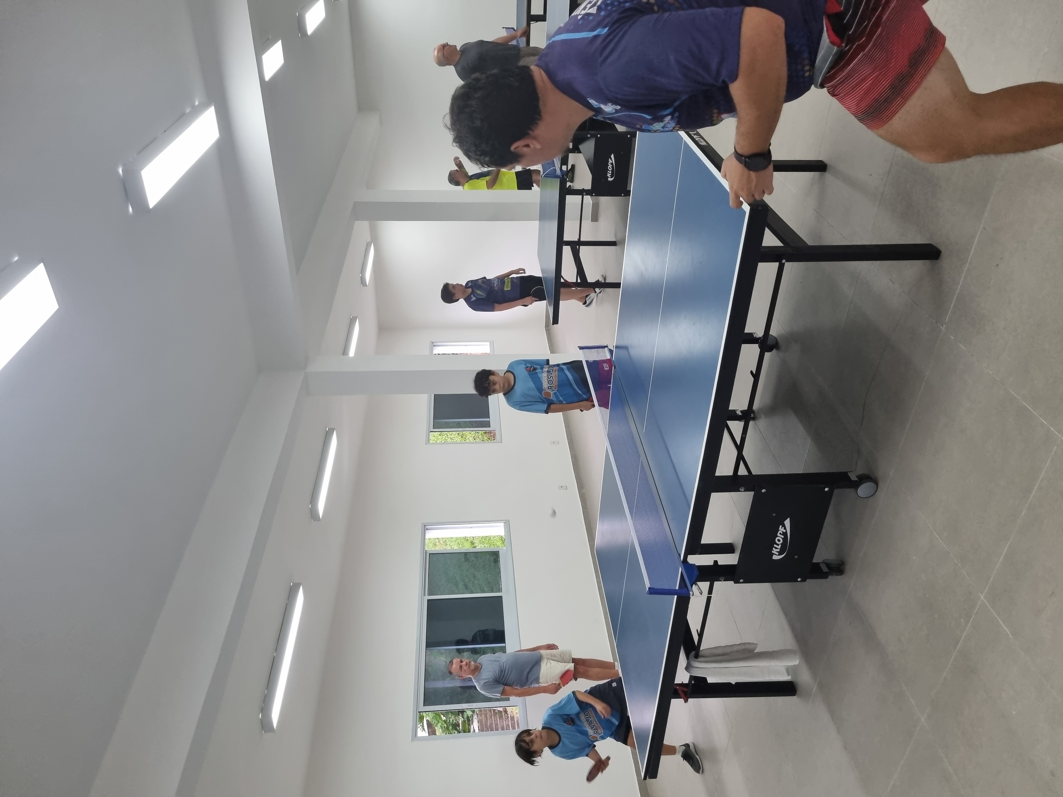 Prática Spin4All